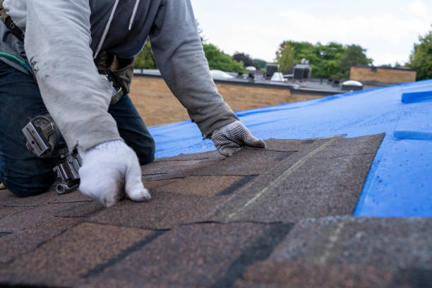 Best Storm Damage Roof Repair  in Bloomfield, MO